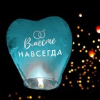 Фонарик желаний «Вместе навсегда», сердце, МИКС - Фото 4