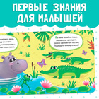 Картонная книга «Животные зоопарка», 10 стр. - Фото 3
