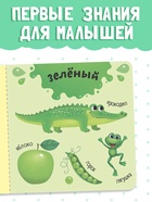 Картонная книга «Изучаем цвета», 10 стр. - Фото 3