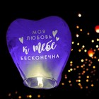 Фонарик желаний «Моя любовь», сердце, МИКС - Фото 11