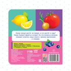 Картонная книга «Фрукты, овощи и не только», 10 стр. - Фото 5