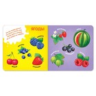 Книги картонные «Знакомимся с окружающим миром», набор 4 шт. по 10 стр. - Фото 7