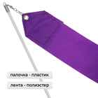 Лента для художественной гимнастики с палочкой Grace Dance, 6 м, цвет фиолетовый - Фото 2