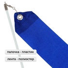 Лента для художественной гимнастики с палочкой Grace Dance, 4 м, цвет синий - Фото 2