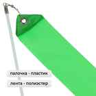 Лента для художественной гимнастики с палочкой Grace Dance, 4 м, цвет зелёный - Фото 2