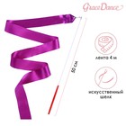 Лента гимнастическая с палочкой Grace Dance, 4 м, цвет фиолетовый - Фото 1