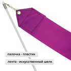 Лента для художественной гимнастики с палочкой Grace Dance, 4 м, цвет фиолетовый - Фото 2