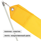 Лента для художественной гимнастики с палочкой Grace Dance, 4 м, цвет оранжевый - Фото 2