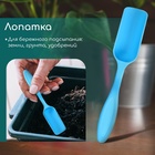 Набор посадочного инструмента: лопатка, вилка, конус, стаканчик, цвет МИКС, Greengo - Фото 3