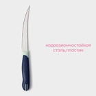 Нож кухонный для цитрусовых Доляна «Страйп», гладкое лезвие 11,5 см, цвет синий - Фото 2