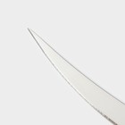 Нож кухонный для цитрусовых Доляна «Страйп», гладкое лезвие 11,5 см, цвет синий - фото 4266421
