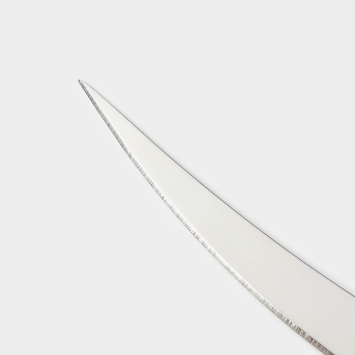 Нож кухонный для цитрусовых Доляна «Страйп», гладкое лезвие 11,5 см, цвет синий - фото 1908439580