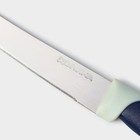 Нож кухонный для цитрусовых Доляна «Страйп», гладкое лезвие 11,5 см, цвет синий - фото 4266422