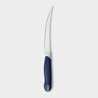Нож кухонный для цитрусовых Доляна «Страйп», гладкое лезвие 11,5 см, цвет синий - фото 4266423