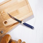 Нож кухонный для цитрусовых Доляна «Страйп», гладкое лезвие 11,5 см, цвет синий - Фото 6