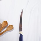 Нож кухонный для цитрусовых Доляна «Страйп», гладкое лезвие 11,5 см, цвет синий - фото 4266425