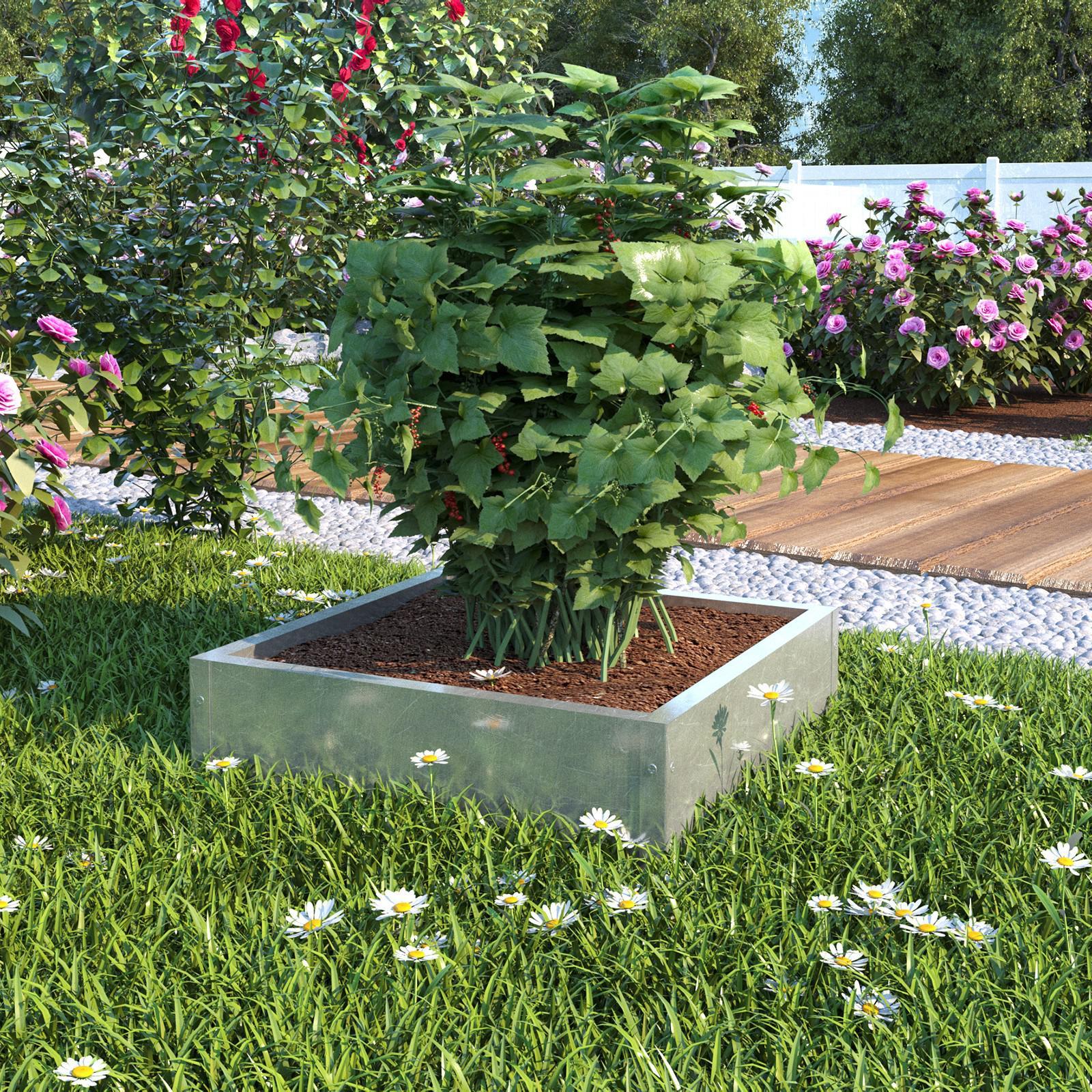 Клумбы оцинкованные фото Клумбы оцинкованные фото