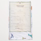 Папка для свидетельства о рождении, А5 «Динозаврики» - Фото 3