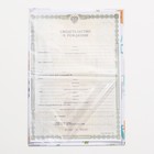 Папка для свидетельства о рождении, А5 «Динозаврики» - Фото 4