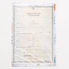 Папка для свидетельства о рождении, А5 «Динозаврики» - Фото 5