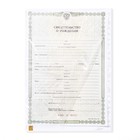 Папка для свидетельства о рождении, А5 «Зайки» - Фото 3