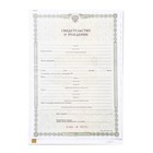 Папка для свидетельства о рождении, А5 «Зайки» - Фото 5