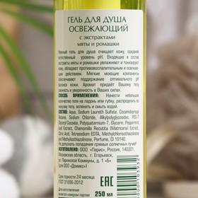 

Гель для душа Domix «Освежающий», с экстрактами мяты и ромашки, 250 мл