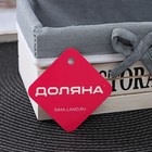 Корзина для хранения Доляна Storage, 20×11,5×9 см,малая, цвет белый - Фото 4