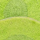 Ковер овальный «АНИКА», 40х60 ± 3 см, цвет зеленый. - Фото 3
