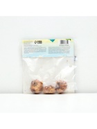 Гладиолус Крупноцветковый "Присцилла", р-р 8/10, 3 шт, - Фото 6