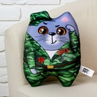 Игрушка-антистресс, кот «Побед на всех фронтах!», 27 х 21 см - Фото 2