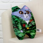 Игрушка-антистресс, кот «Побед на всех фронтах!», 27 х 21 см - Фото 3