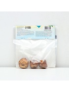 Гладиолус Крупноцветковый "Пламтарт", р-р 8/10, 3 шт, - Фото 6