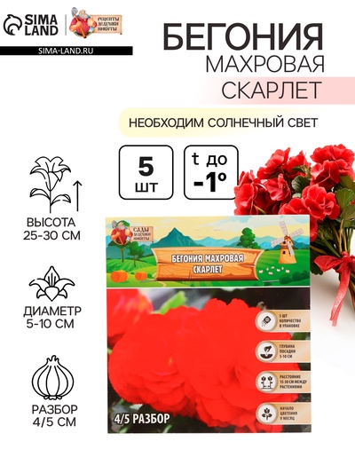 Бегония махровая «Скарлет», луковица, р-р 4/5, 5 шт.