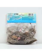 Лилия Восточная «Дабл Мэджик Стар», луковица в пакете с перфорацией, р-р 12/14, 3 шт. - Фото 6