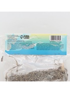 Лилия Чалмовидная «Мисс Фея», луковица в пакете с перфорацией, р-р 12/14, 3 шт. - Фото 7