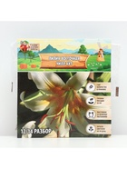 Лилия Восточная «Чилл Аут», луковица в пакете с перфорацией, р-р 14/16 3 шт. - Фото 5