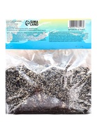 Лилия Азиатская горшечная «Салинеро», луковица в пакете с перфорацией, р-р 14/16, 3 шт. - Фото 9