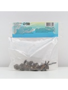 Анемона корончатая «Сильфида», многолетник, луковица р-р 6/7, 10 шт. - Фото 6