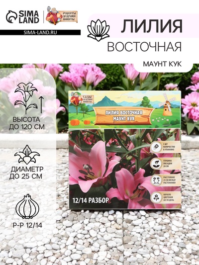 Лилия Восточная «Маунт Кук», луковица в пакете с перфорацией, р-р 12/14, 3 шт.