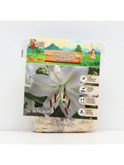 Лилия Восточная «Касабланка», луковица в пакете с перфорацией, р-р 12/14, 3 шт. - Фото 5