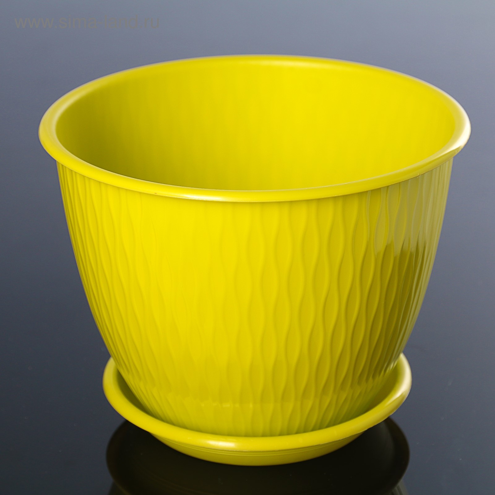 Горшок корсика фото Горшок корсика фото