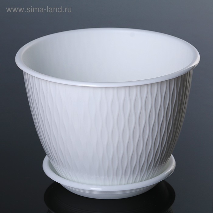 Горшок корсика фото Горшок корсика фото