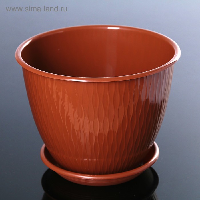 Горшок корсика фото Горшок корсика фото