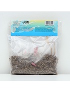 Лилия Восточная «Диззи», луковица в пакете с перфорацией, р-р 12/14, 3 шт. - Фото 6