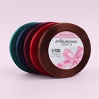 Набор атласных лент «Вечерние огни», 5 шт., 10 мм, 23±1 м - Фото 1