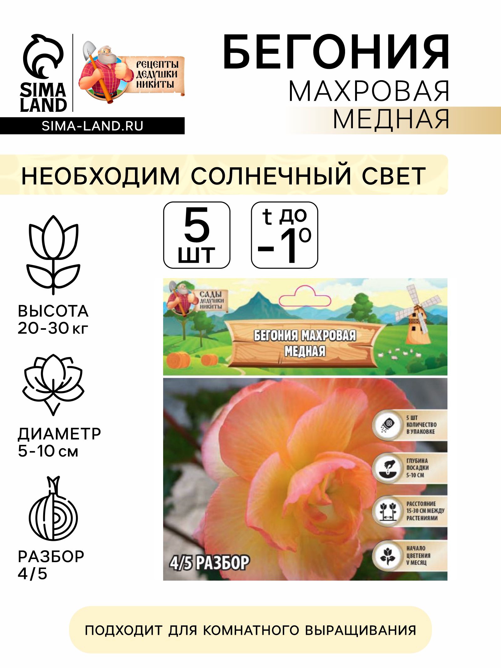 Бегония махровая "Медная" р-р 4/5, 5 шт, (4176352) - Купить по цене от ...