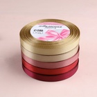 Набор атласных лент «Осенний», 5 шт., 10 мм, 23±1 м - Фото 3