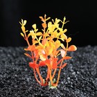 Растение для аквариума, до 10 см, пластик - Фото 1