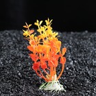 Растение для аквариума, до 10 см, пластик - Фото 2